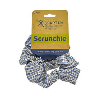 Summer Scrunchie - 2 Pack