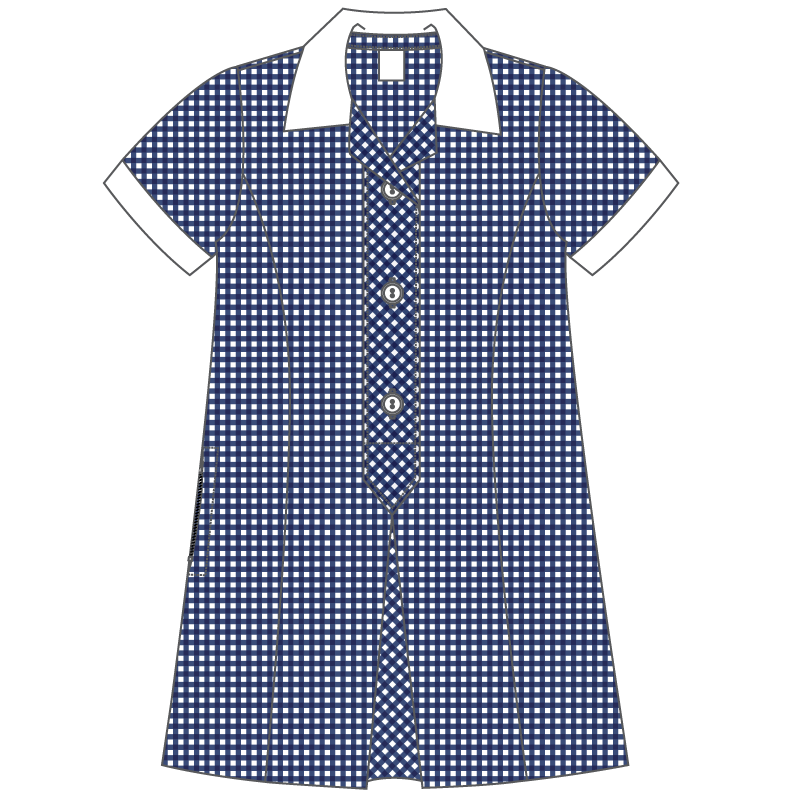 Gingham Summer Dress