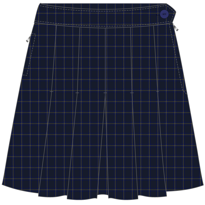 Winter Skirt Box Pleat